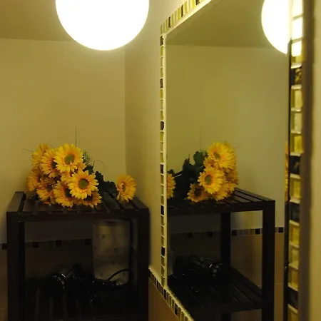 Bed & Breakfast Flower Ciampino